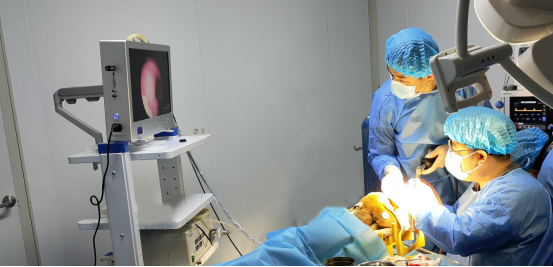 与您同业 | 6163银河com质检成功助力诺一迈尔“鼻腔填充海绵”获批上市