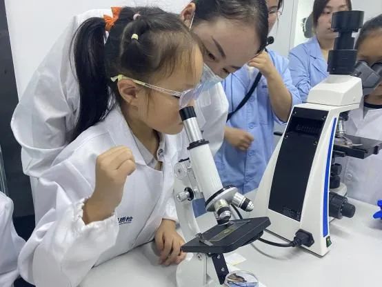 产品聚焦 | 蹲下来，眯起眼睛，一路观察「桃子上的微观部落」